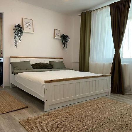 Carol Apartament'S Timişoara Extérieur photo