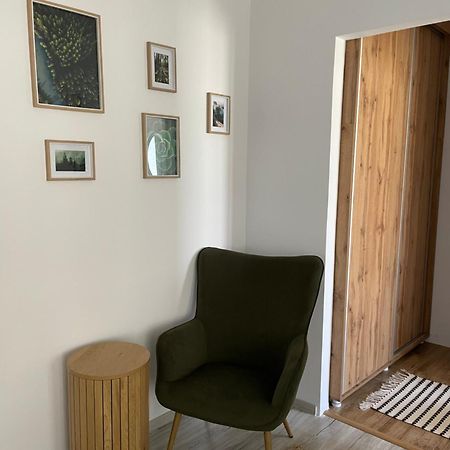 Carol Apartament'S Timişoara Extérieur photo