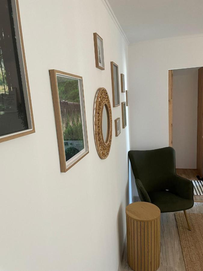 Carol Apartament'S Timişoara Extérieur photo