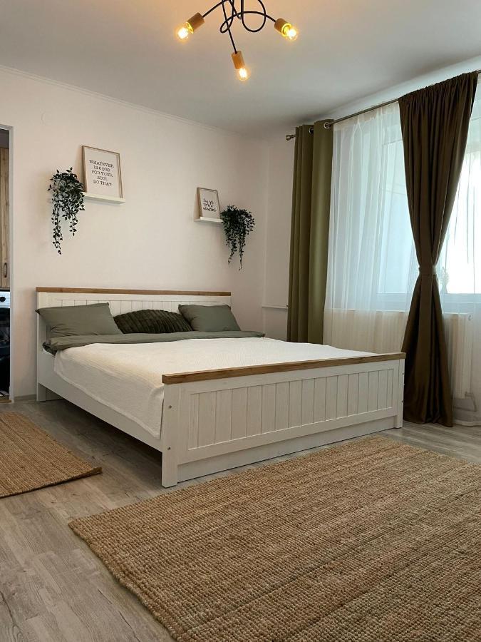 Carol Apartament'S Timişoara Extérieur photo