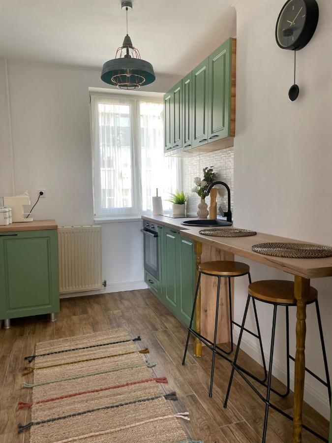 Carol Apartament'S Timişoara Extérieur photo